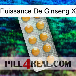 Ginseng Power X levitra1